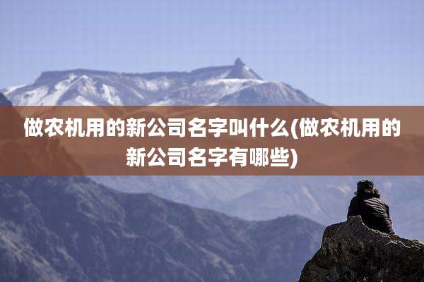 做农机用的新公司名字叫什么(做农机用的新公司名字有哪些)