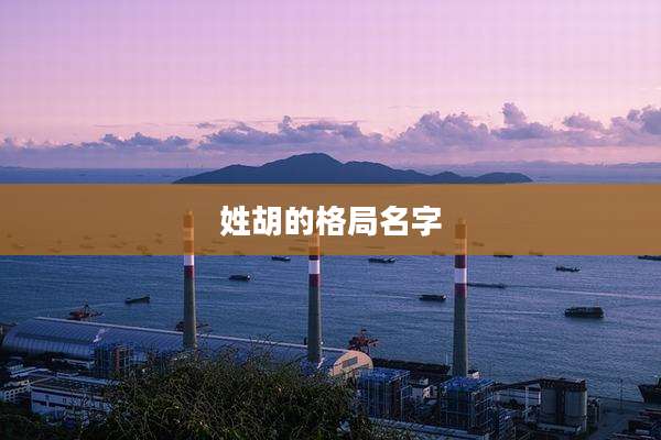 姓胡的格局名字