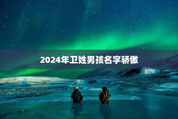 2024年卫姓男孩名字骄傲