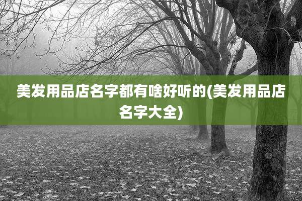 美发用品店名字都有啥好听的(美发用品店名字大全)