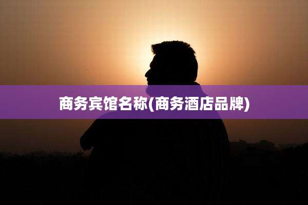 商务宾馆名称(商务酒店品牌)