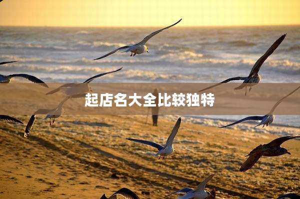 起店名大全比较独特