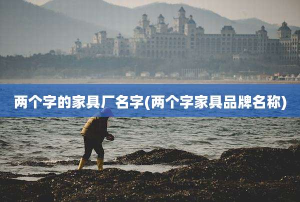两个字的家具厂名字(两个字家具品牌名称)