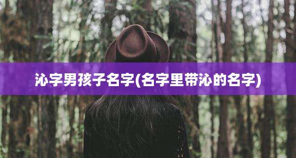沁字男孩子名字(名字里带沁的名字)