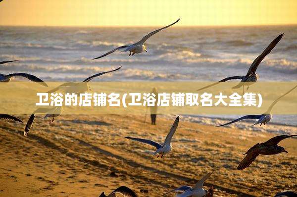 卫浴的店铺名(卫浴店铺取名大全集)