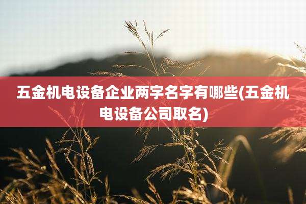 五金机电设备企业两字名字有哪些(五金机电设备公司取名)