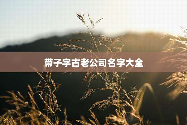 带子字古老公司名字大全
