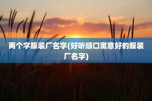 两个字服装厂名字(好听顺口寓意好的服装厂名字)