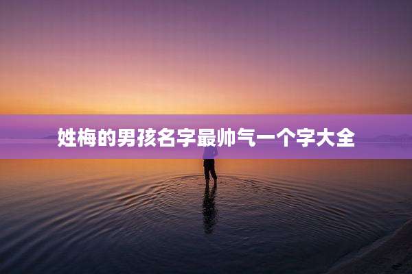 姓梅的男孩名字最帅气一个字大全