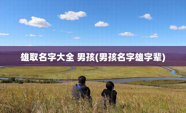 雄取名字大全 男孩(男孩名字雄字辈)