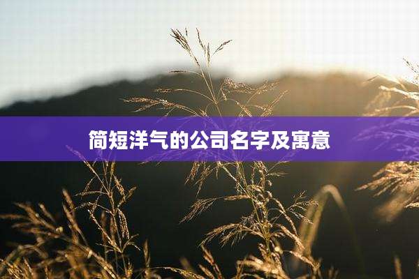 简短洋气的公司名字及寓意