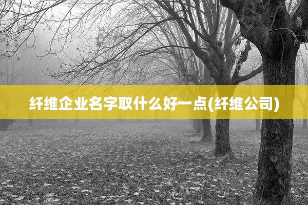 纤维企业名字取什么好一点(纤维公司)
