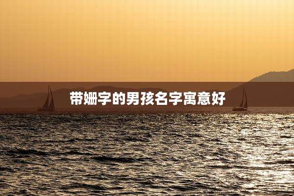 带姗字的男孩名字寓意好