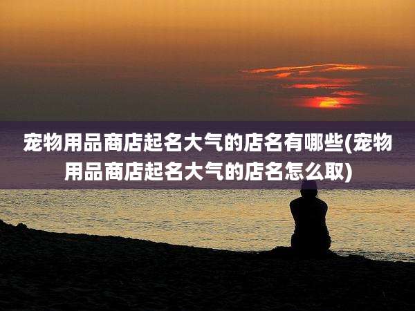 宠物用品商店起名大气的店名有哪些(宠物用品商店起名大气的店名怎么取)