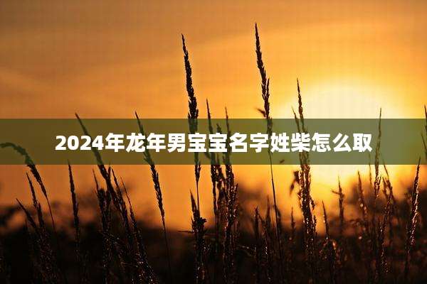 2024年龙年男宝宝名字姓柴怎么取