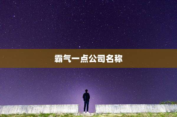 霸气一点公司名称
