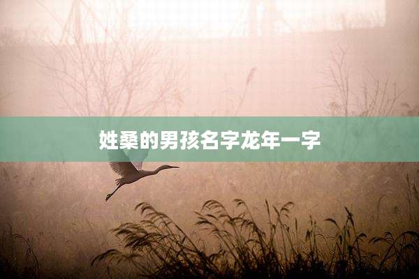 姓桑的男孩名字龙年一字