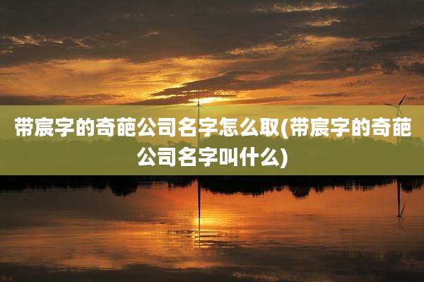 带宸字的奇葩公司名字怎么取(带宸字的奇葩公司名字叫什么)
