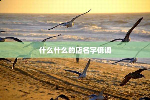 什么什么的店名字低调