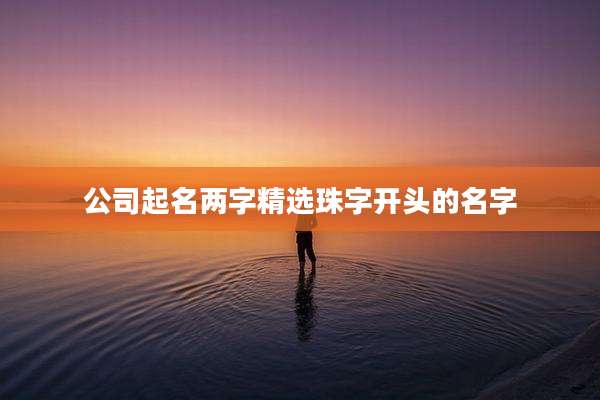 公司起名两字精选珠字开头的名字