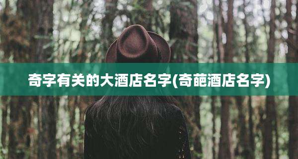 奇字有关的大酒店名字(奇葩酒店名字)