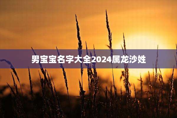 男宝宝名字大全2024属龙沙姓