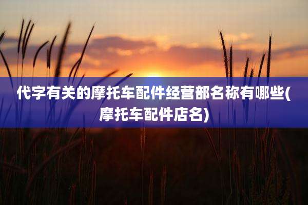 代字有关的摩托车配件经营部名称有哪些(摩托车配件店名)