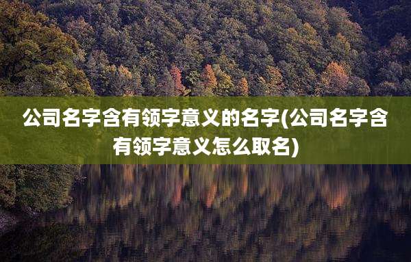 公司名字含有领字意义的名字(公司名字含有领字意义怎么取名)