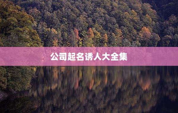 公司起名诱人大全集