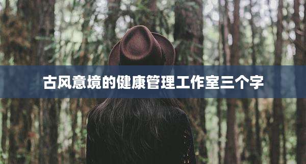 古风意境的健康管理工作室三个字