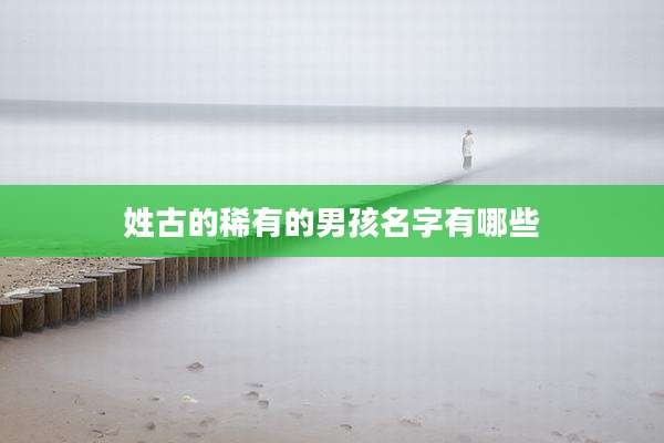 姓古的稀有的男孩名字有哪些