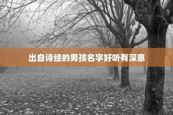 出自诗经的男孩名字好听有深意
