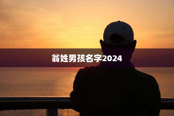 翁姓男孩名字2024