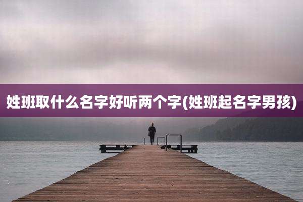 姓班取什么名字好听两个字(姓班起名字男孩)