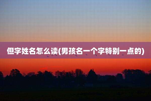 但字姓名怎么读(男孩名一个字特别一点的)