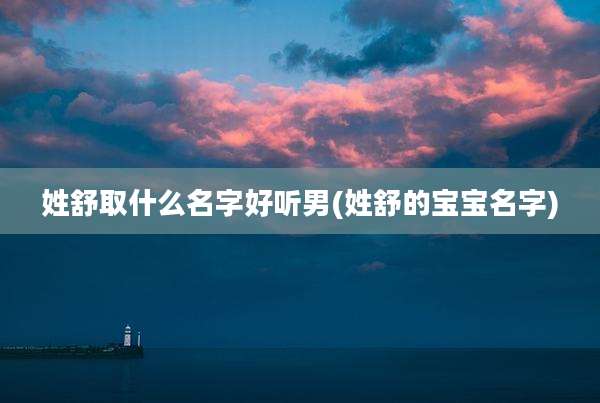 姓舒取什么名字好听男(姓舒的宝宝名字)