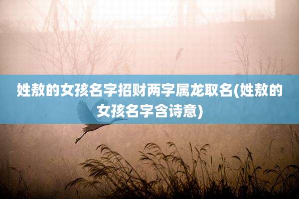姓敖的女孩名字招财两字属龙取名(姓敖的女孩名字含诗意)