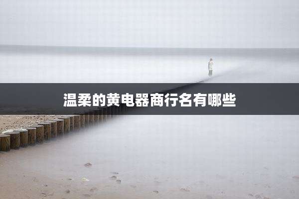 温柔的黄电器商行名有哪些