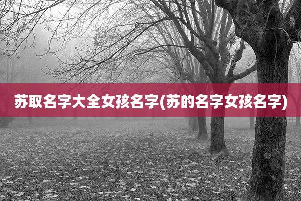 苏取名字大全女孩名字(苏的名字女孩名字)