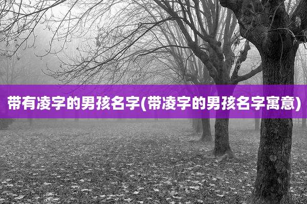 带有凌字的男孩名字(带凌字的男孩名字寓意)