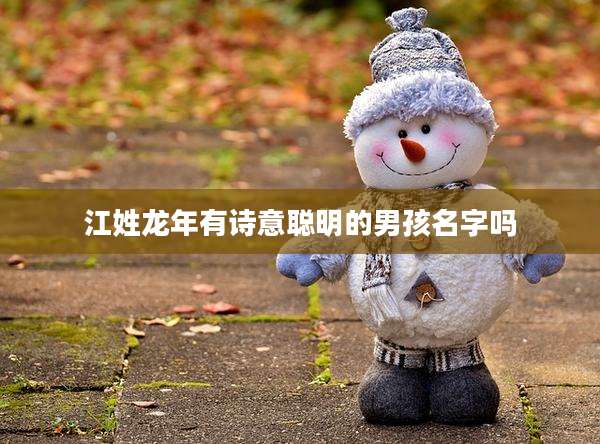 江姓龙年有诗意聪明的男孩名字吗
