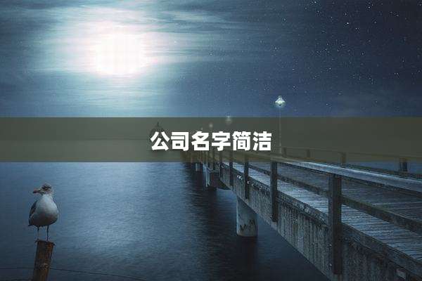 公司名字简洁