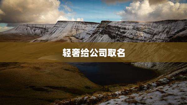轻奢给公司取名