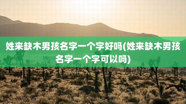 姓来缺木男孩名字一个字好吗(姓来缺木男孩名字一个字可以吗)