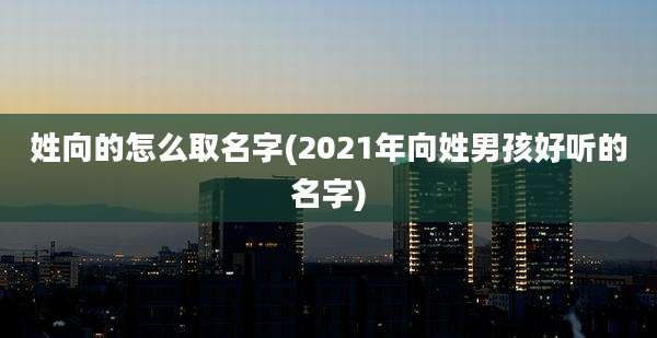 姓向的怎么取名字(2021年向姓男孩好听的名字)