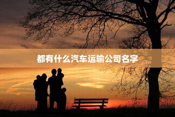 都有什么汽车运输公司名字