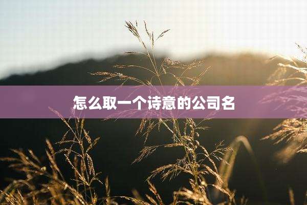 怎么取一个诗意的公司名