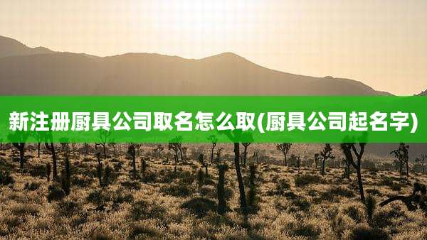 新注册厨具公司取名怎么取(厨具公司起名字)