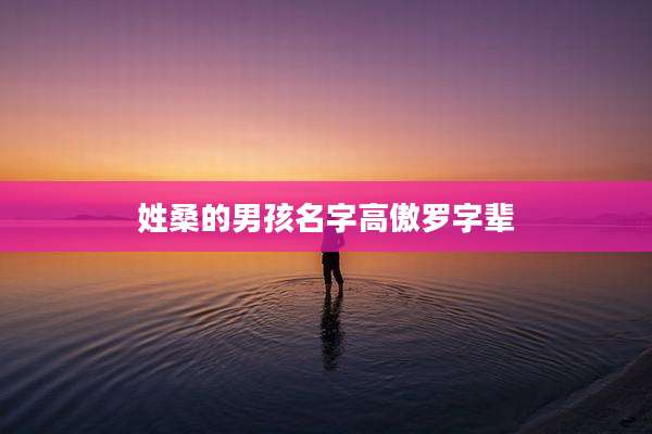 姓桑的男孩名字高傲罗字辈