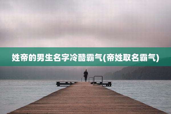 姓帝的男生名字冷酷霸气(帝姓取名霸气)